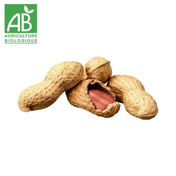 Cacahuète en coques